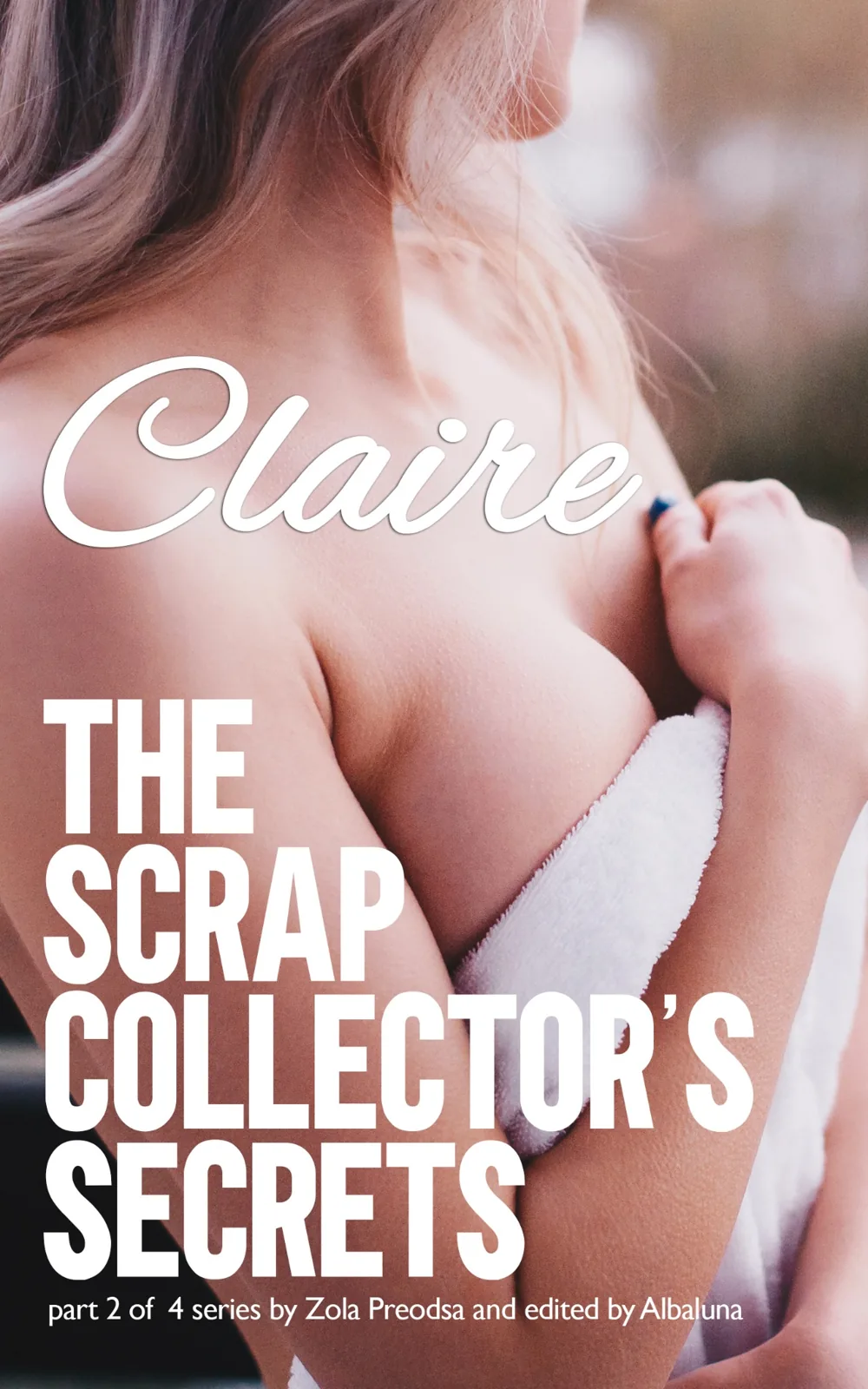 The Scrap Collector’s Secrets visual